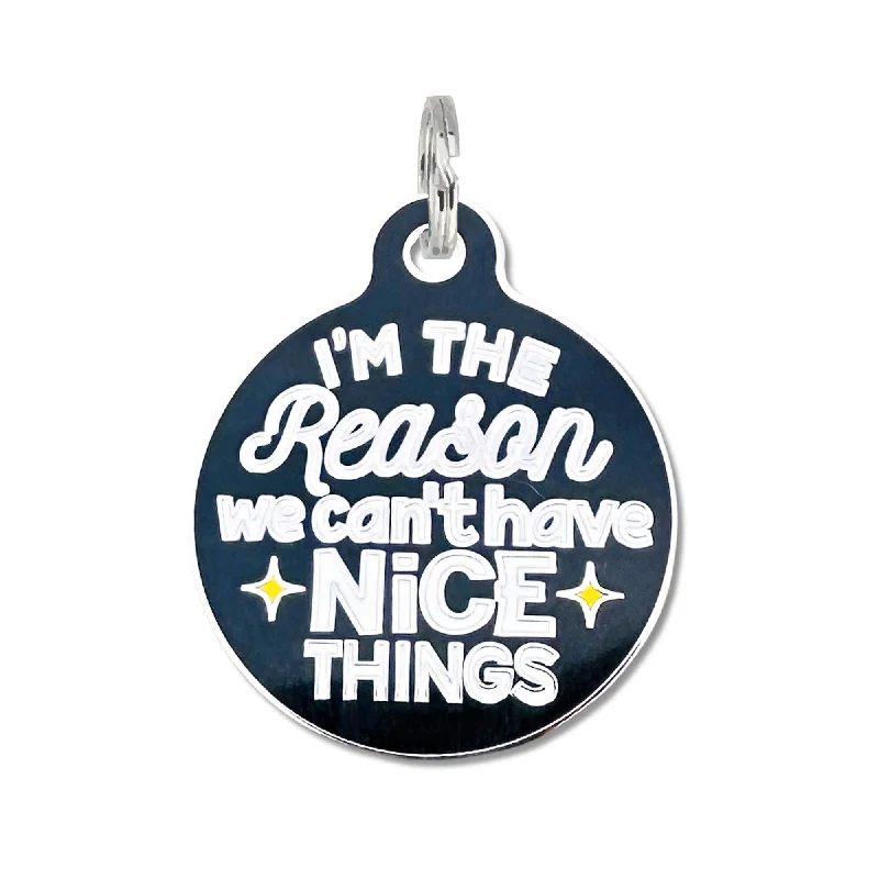 Can't Have Nice Things - Dog Collar Charm or Pet ID Tag