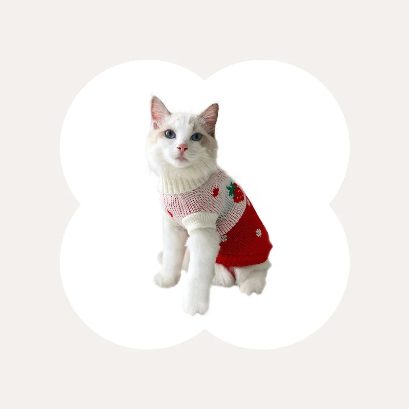 Strawberry Heart Cat Sweater