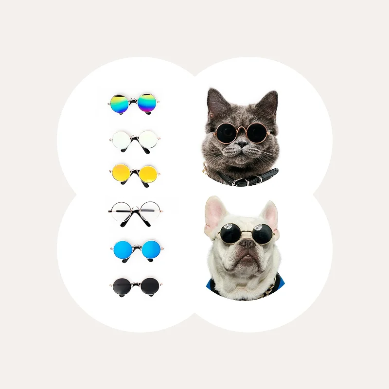 Super Cool Pet Glasses