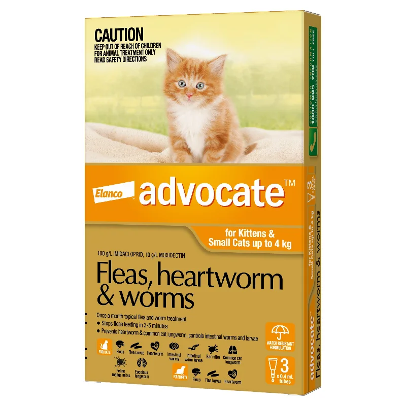 Advocate For Kittens and Small Cats Up To 4kg