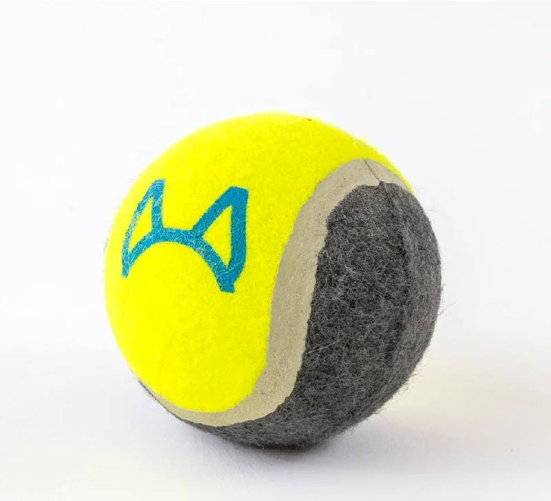 Attachment Theory Tennis Ball Toy for Dogs