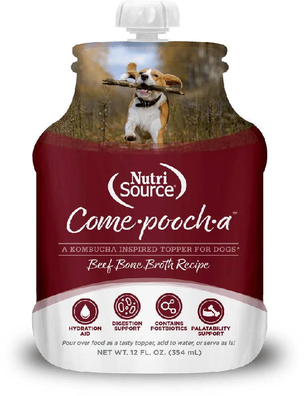 NutriSource Come-Pooch-a Beef Bone Broth for Dogs