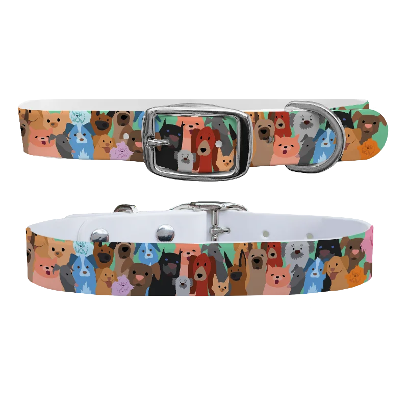 Dog Party Dog Collar With Silver Buckle