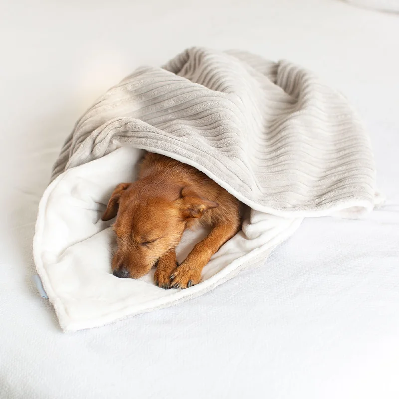 Dog & Puppy Blanket in Light Grey Essentials Plush by Lords & Labradors