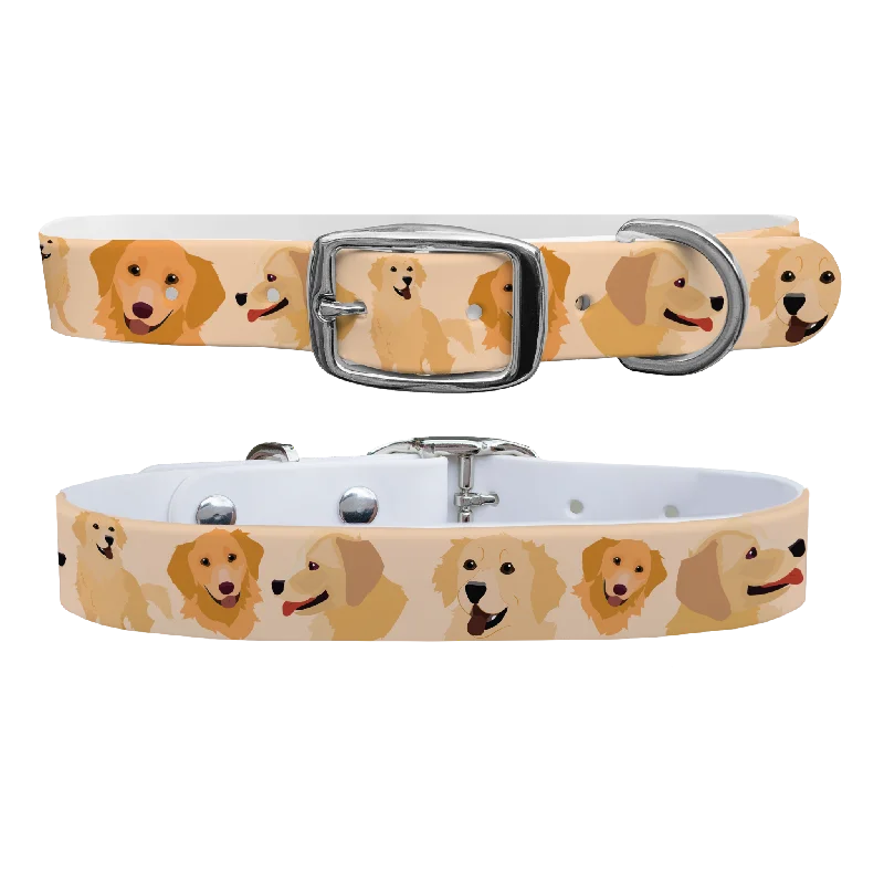 Golden Retriver Collar With Silver Buckle