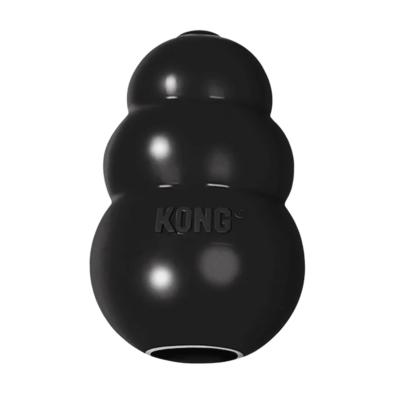 Rubber Dog Chewing Toys - Kong Extreme - Black