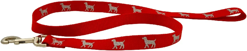 Reflective Hound Series Leash, 1" x 4'