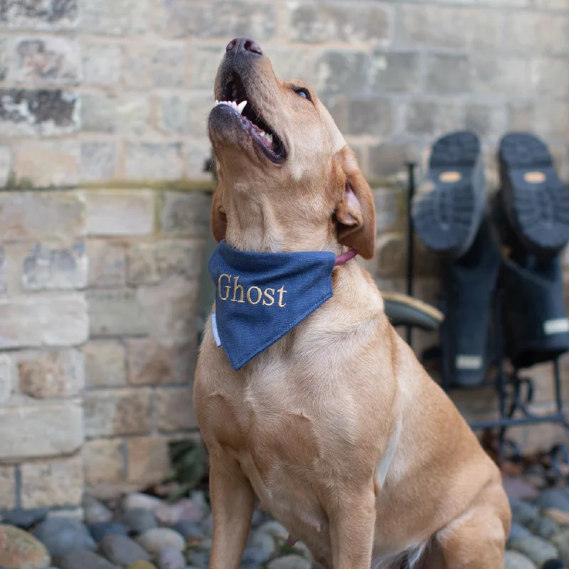 Bandana in Savanna Indigo by Lords & Labradors