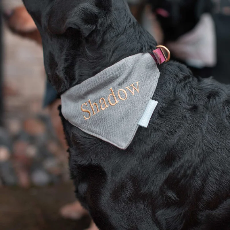 Bandana in Savanna Stone by Lords & Labradors