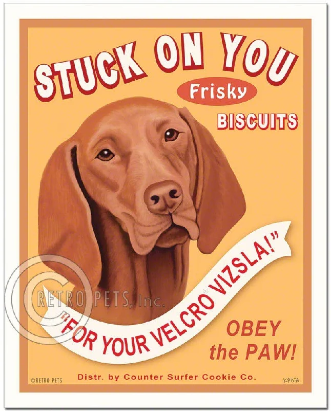 T-116  8x10 Art Print, Vizsla "Stuck On You"