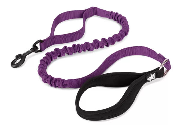 Truelove Durable Bungee Dog Leash TLL2281