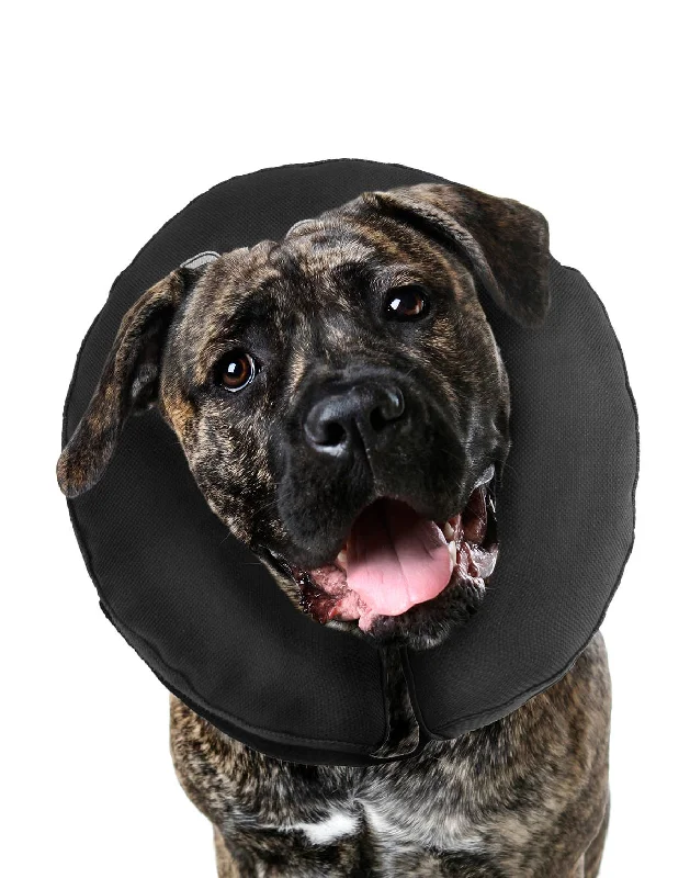 ZENPET - ZenCollar - Inflatable Recovery Collar